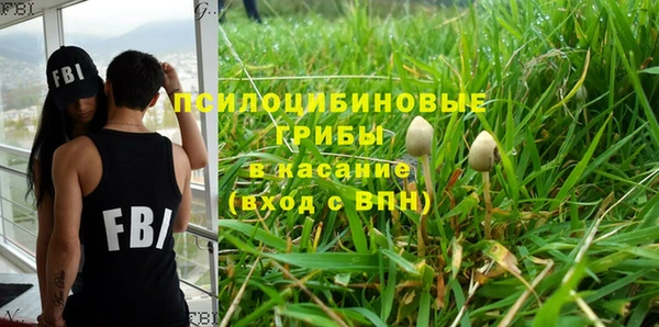 Альфа ПВП Армянск